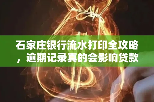 石家庄银行流水打印全攻略,逾期记录真的会影响贷款吗?