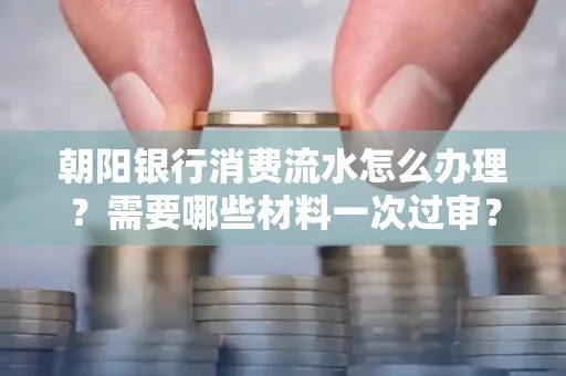 朝阳银行消费流水怎么办理?需要哪些材料一次过审?