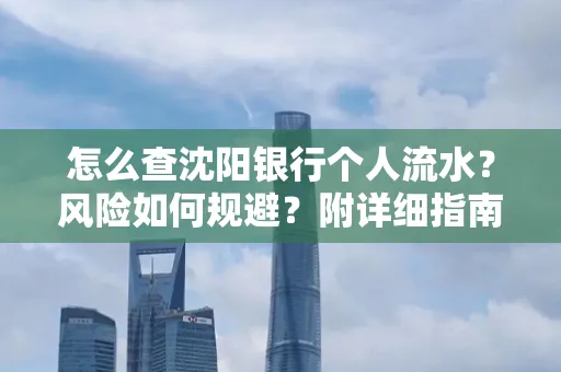 怎么查沈阳银行个人流水?风险如何规避?附详细指南