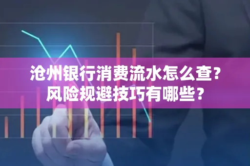 沧州银行消费流水怎么查?风险规避技巧有哪些?