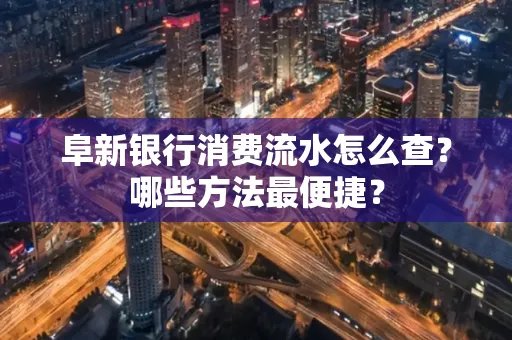 阜新银行消费流水怎么查?哪些方法最便捷?
