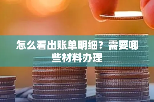 怎么看出账单明细?需要哪些材料办理