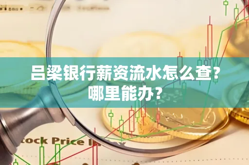 吕梁银行薪资流水怎么查?哪里能办?