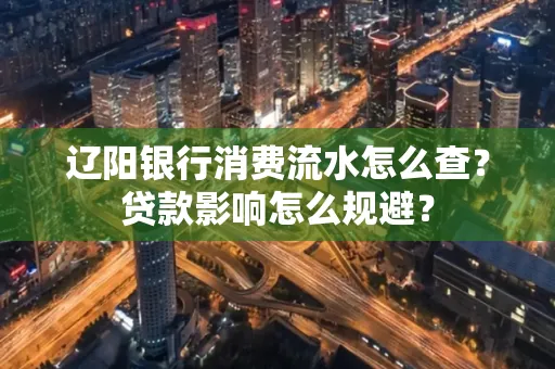 辽阳银行消费流水怎么查?贷款影响怎么规避?