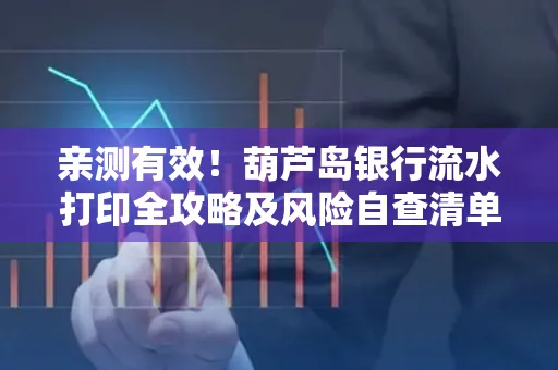 亲测有效!葫芦岛银行流水打印全攻略及风险自查清单