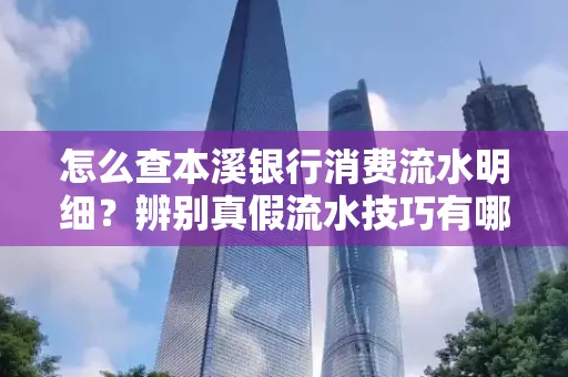 怎么查本溪银行消费流水明细?辨别真假流水技巧有哪些?