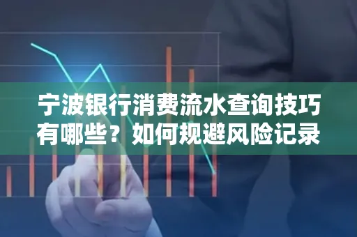 宁波银行消费流水查询技巧有哪些?如何规避风险记录?