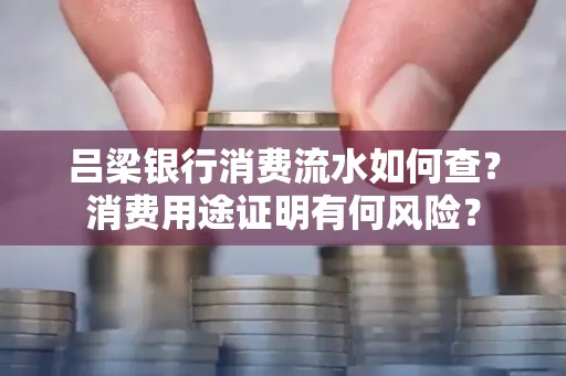 吕梁银行消费流水如何查?消费用途证明有何风险?