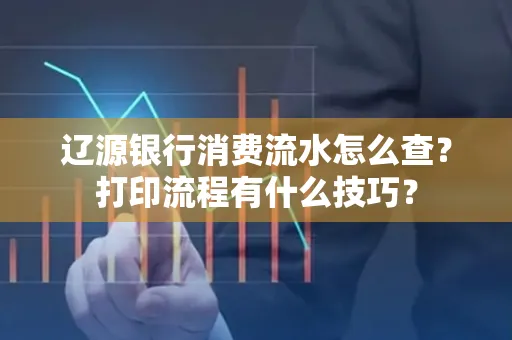 辽源银行消费流水怎么查?打印流程有什么技巧?