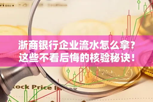 浙商银行企业流水怎么拿?这些不看后悔的核验秘诀!