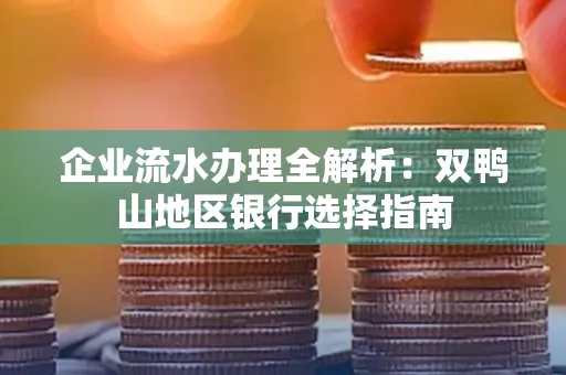 企业流水办理全解析:双鸭山地区银行选择指南