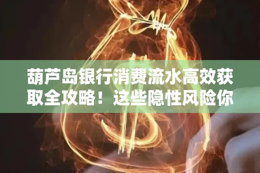 葫芦岛银行消费流水高效获取全攻略!这些隐性风险你必须知道