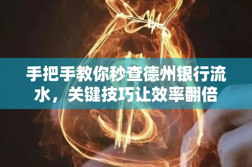 手把手教你秒查德州银行流水,关键技巧让效率翻倍