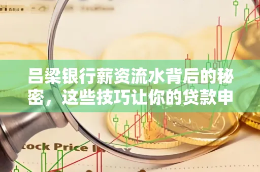 吕梁银行薪资流水背后的秘密,这些技巧让你的贷款申请快人一步