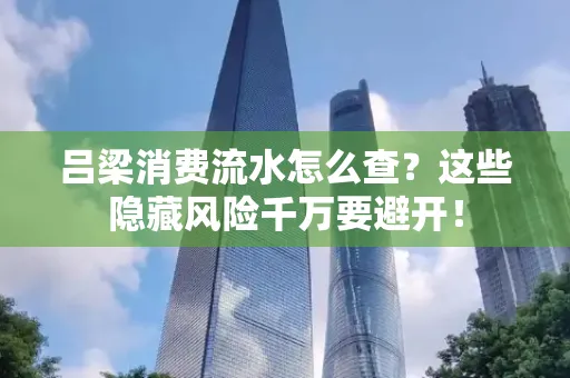 吕梁消费流水怎么查?这些隐藏风险千万要避开!