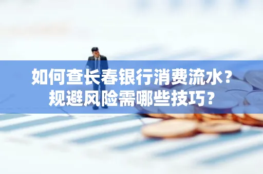 如何查长春银行消费流水?规避风险需哪些技巧?